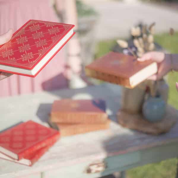 La bibliothèque des amoureux