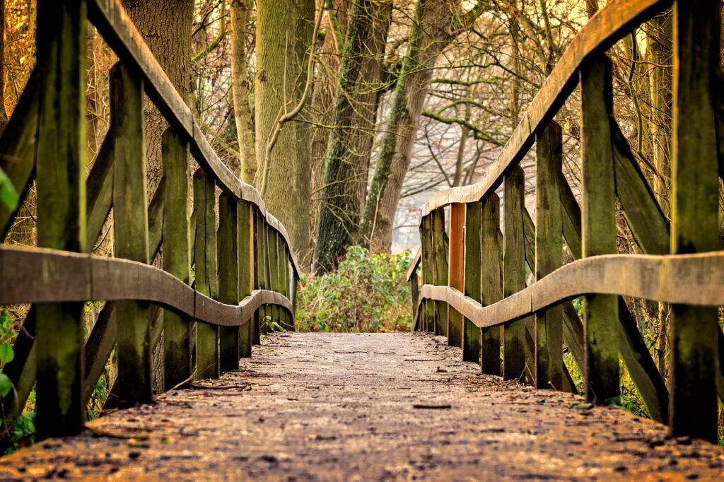 image d'un pont en bois dans une forêt